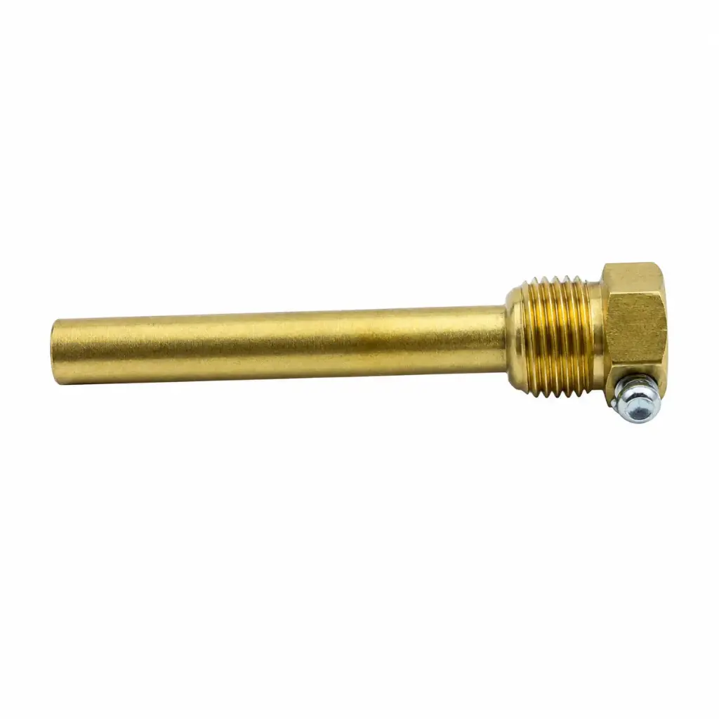 TERMOMETRE PROBU 10 CM
